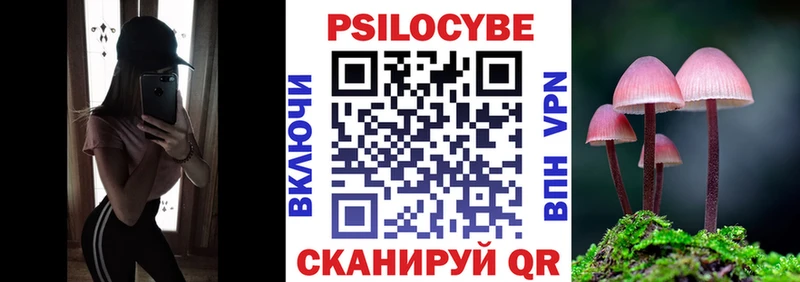 kraken tor  Нефтекумск  Галлюциногенные грибы GOLDEN TEACHER 